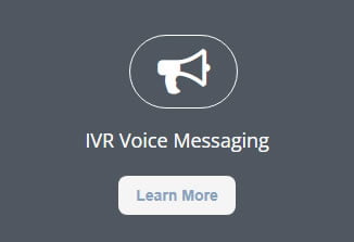 Learn more about IVR Voice Messaging